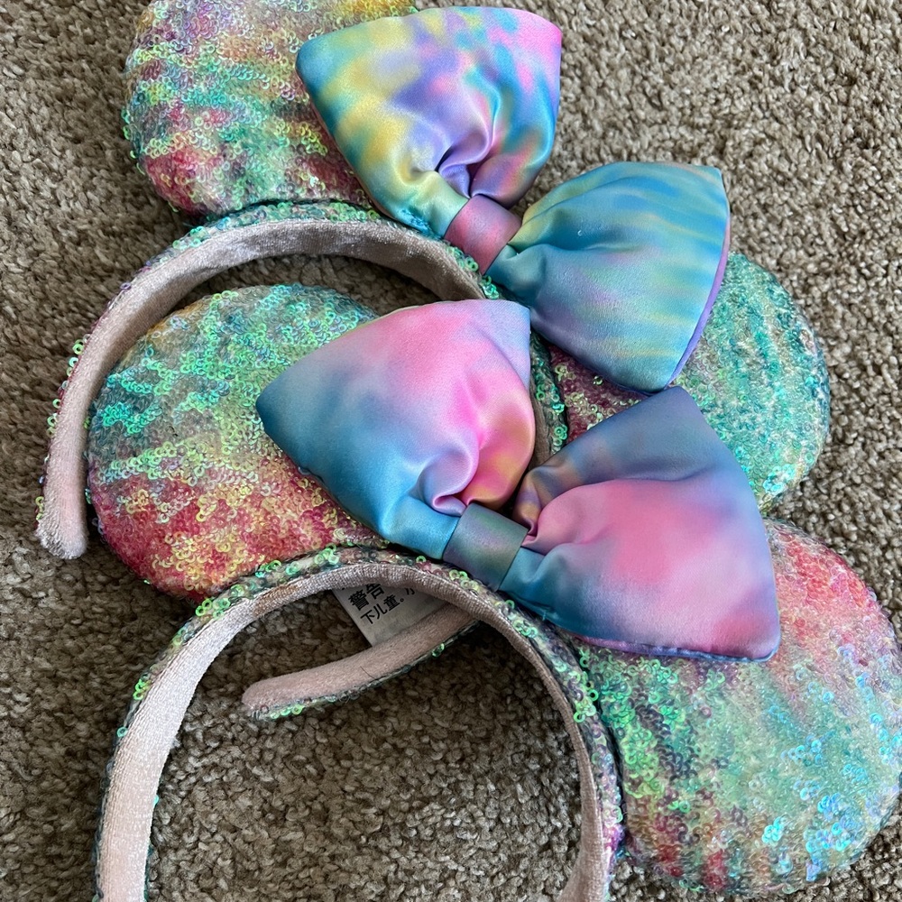 Disney Park Ombré Ears